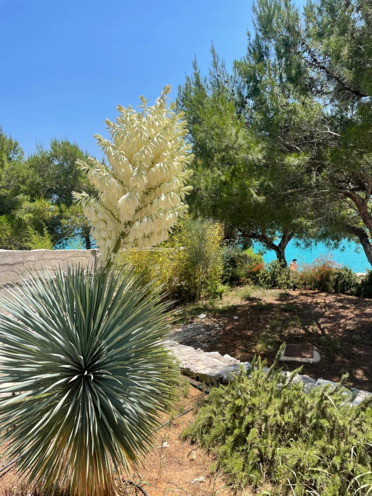 מילנה Luxury Villa Kate - In Lucice Bay With Turquoise Sea, Amazing Seaviews, And Heated Pool מראה חיצוני תמונה
